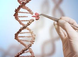 کاربرد مهندسی ژنتیک در علوم تغذیه و علوم دارویی و علوم پزشکی
