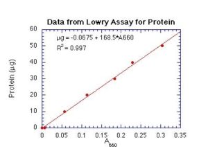 روش لوری در اندازه‌گیری پروتئین‌ها
