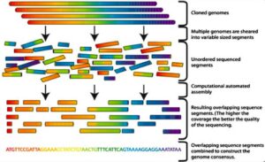 ژنومیکس و تشخیص بیماریها