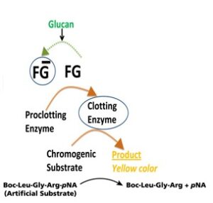 اهمیت ارزیابی D-β-Glucan-3-1 