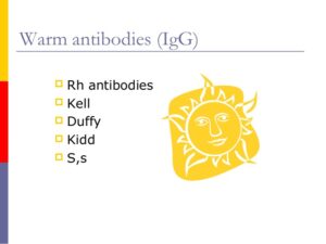 اسکرین آنتی‌بادی‌ها