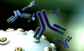 Antibody-drug conjugates