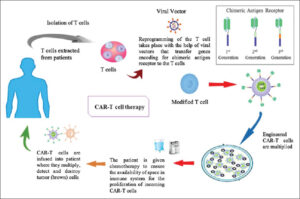  CAR T cell therapy