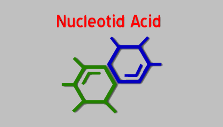 nucleotide-acid