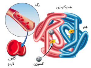 اسپکتروفتومتری